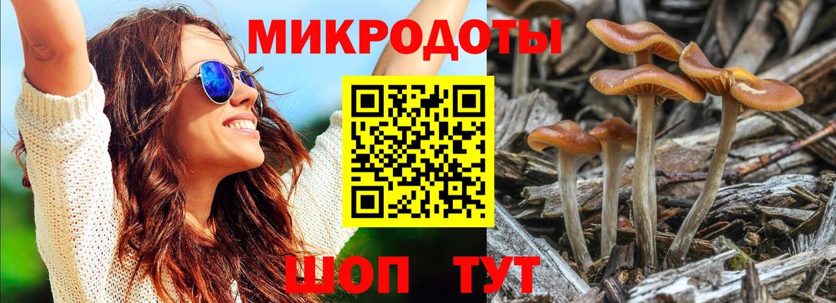 Кизилюрт  Псилоцибиновые грибы ЛСД  Вход с VPN 